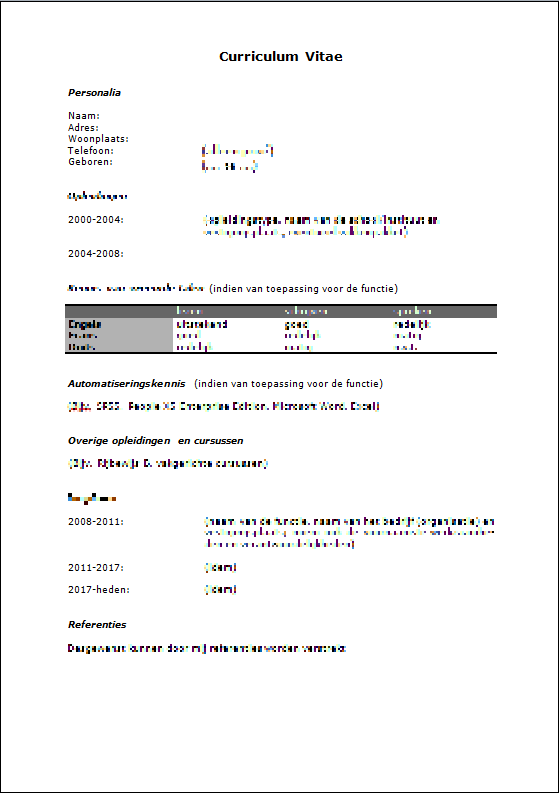 voorbeeld cv (curriculum vitae)